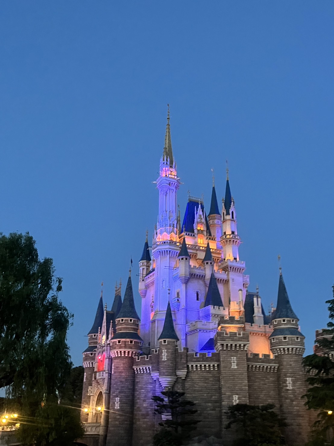 【誕生日ディズニー】息子5歳の誕生日に泊まったランドホテル体験レポ🌈